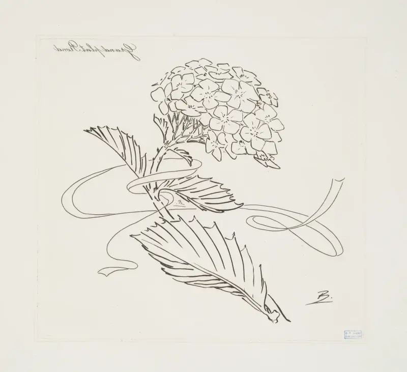 Stor rund tallrik [hortensia] av Félix Bracquemond
