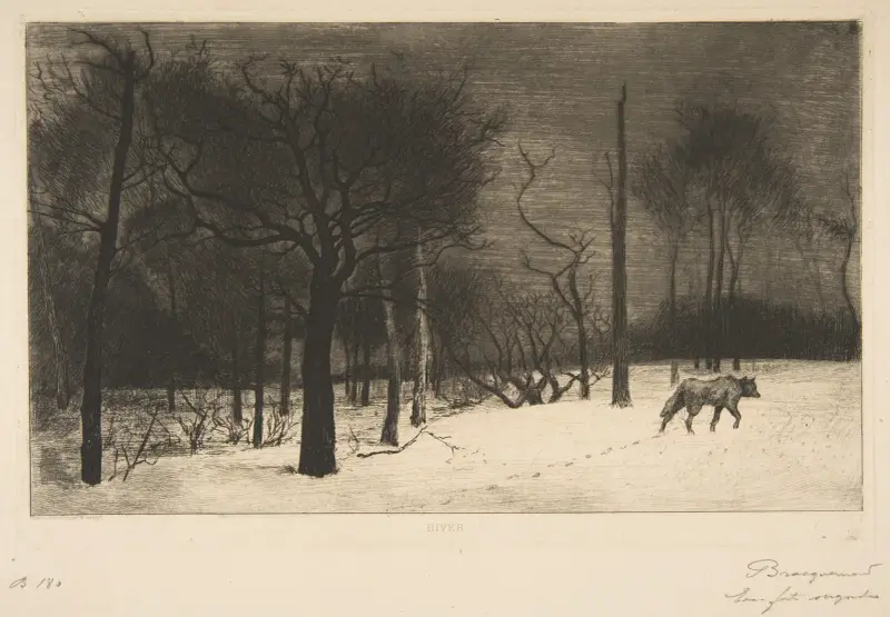 Vinter (Vargen i snön) av Félix Bracquemond