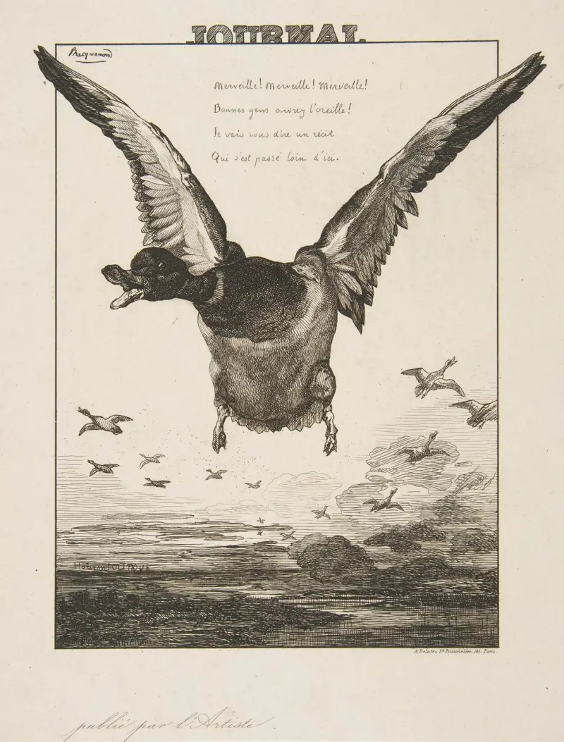 Ankan av Félix Bracquemond