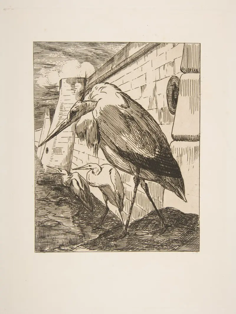 Storkarna av Félix Bracquemond