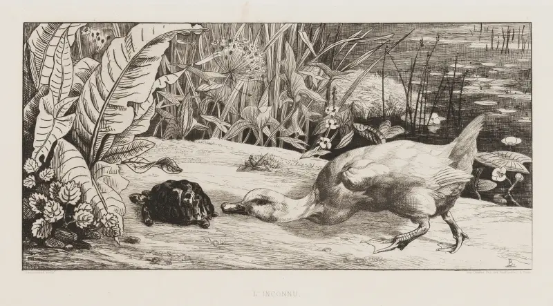 L’Inconnu av Félix Bracquemond