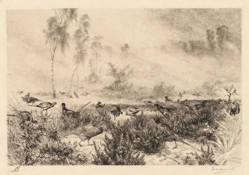 Morgendunst von Félix Bracquemond
