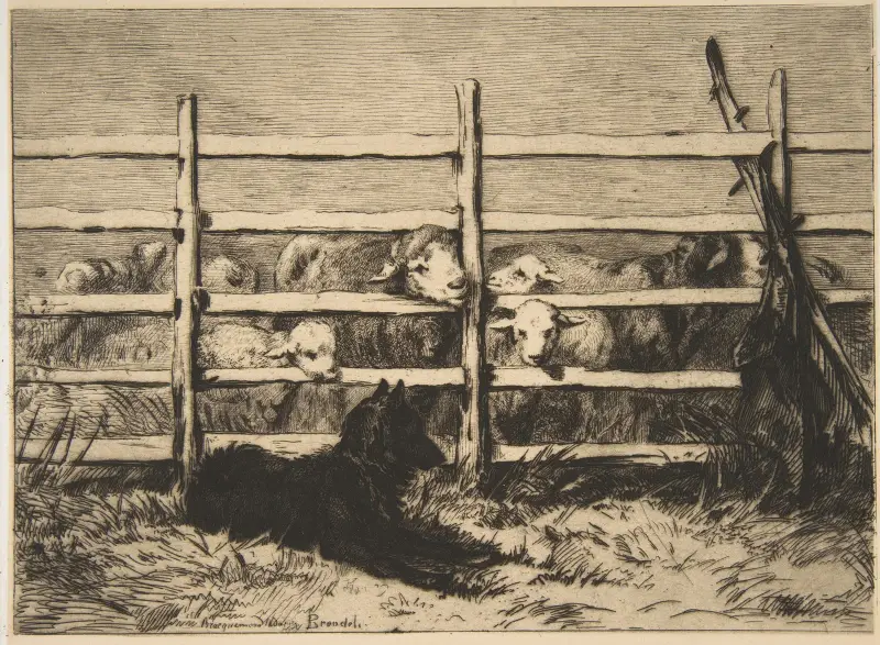 Fårhage av Félix Bracquemond