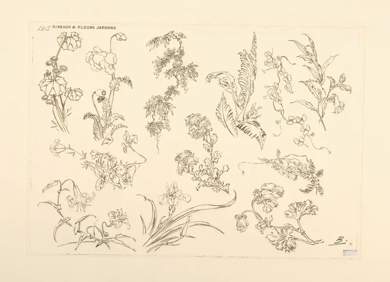 Japanska fåglar och blommor av Félix Bracquemond
