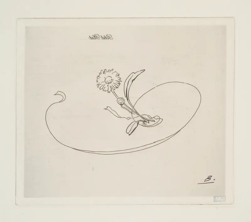 Liten tallrik [marguerit]. av Félix Bracquemond