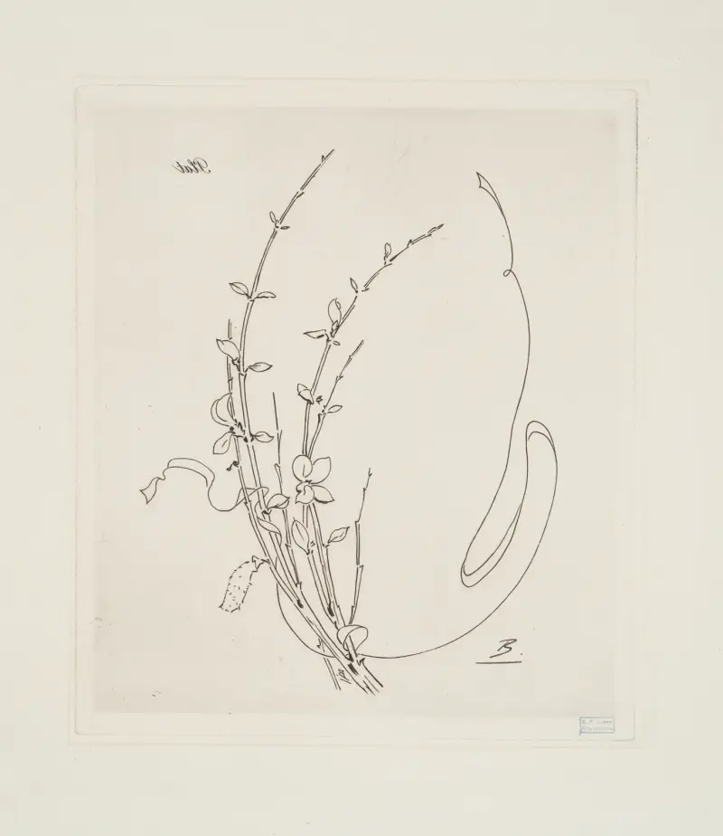Plat [genêt]. av Félix Bracquemond
