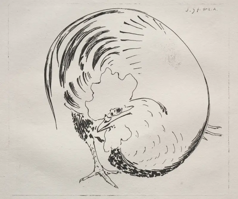 Tupp av Félix Bracquemond