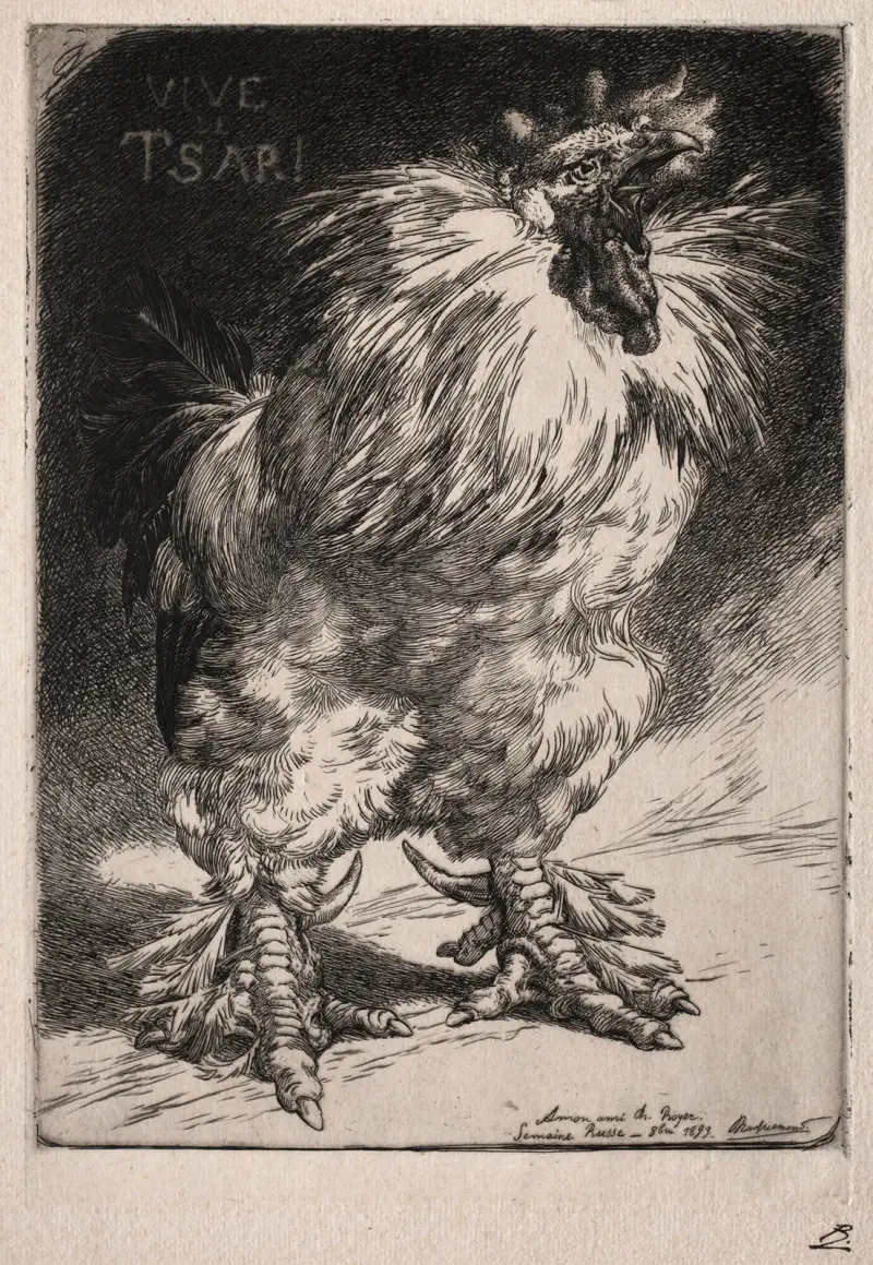 The French Cock av Félix Bracquemond