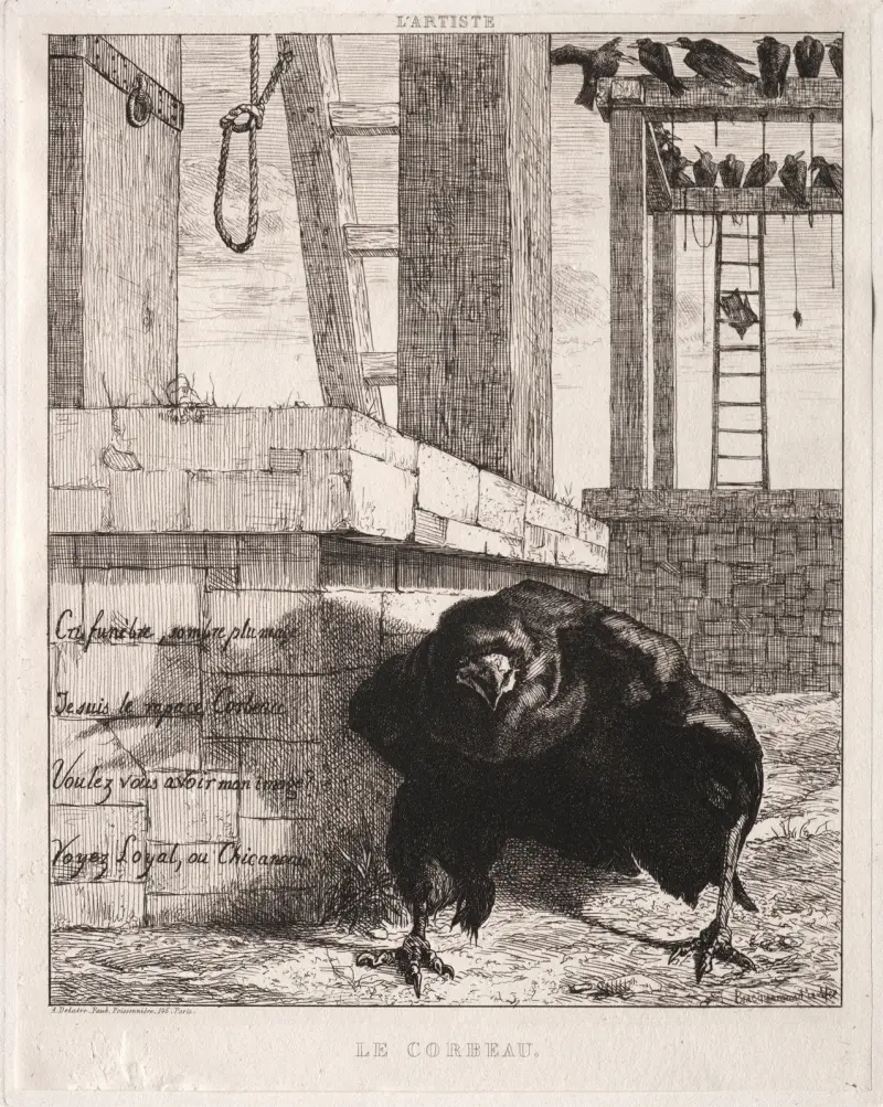 Korpen av Félix Bracquemond