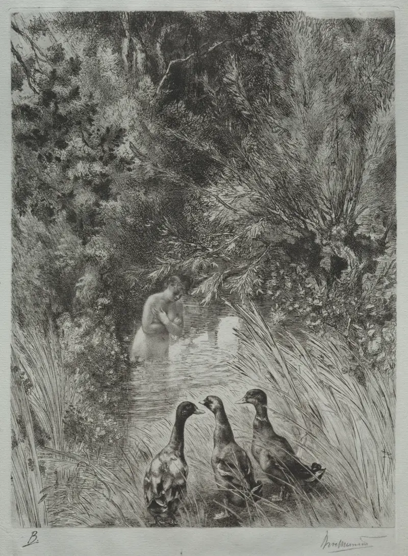 Die überraschten Enten von Félix Bracquemond