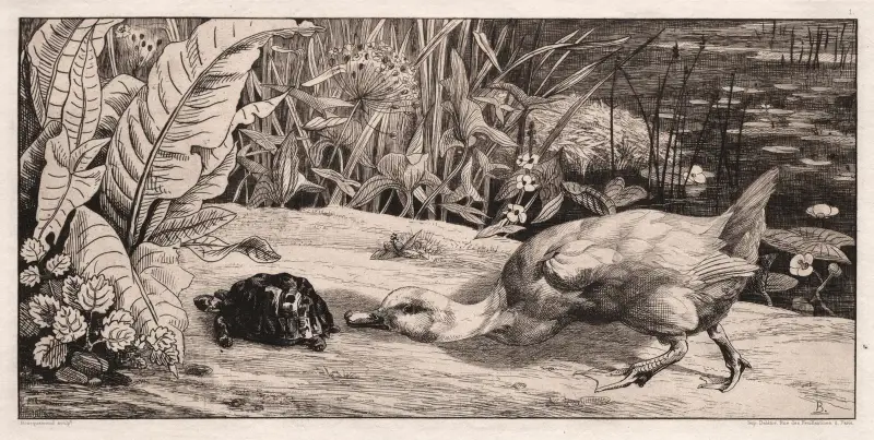 The Unknown von Félix Bracquemond