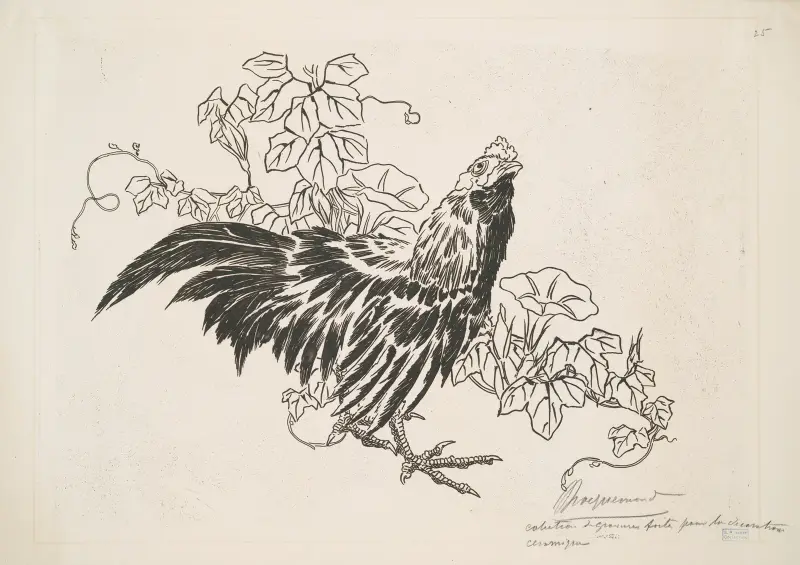En tupp och snårvindor av Félix Bracquemond