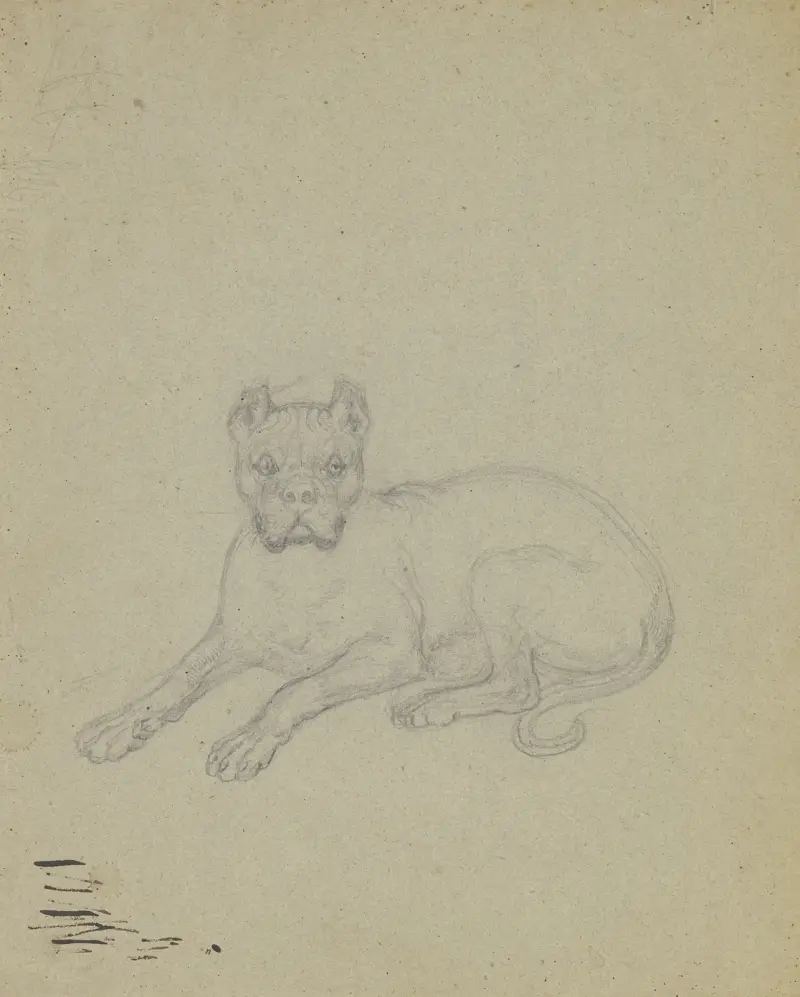 Liggande hund av Ferdinand Fellner