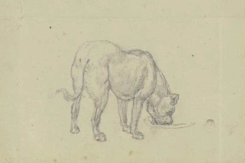 Sovande hund, sedd bakifrån av Ferdinand Fellner