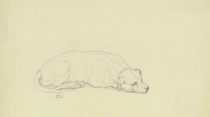 Sovande hund 2 av Ferdinand Fellner