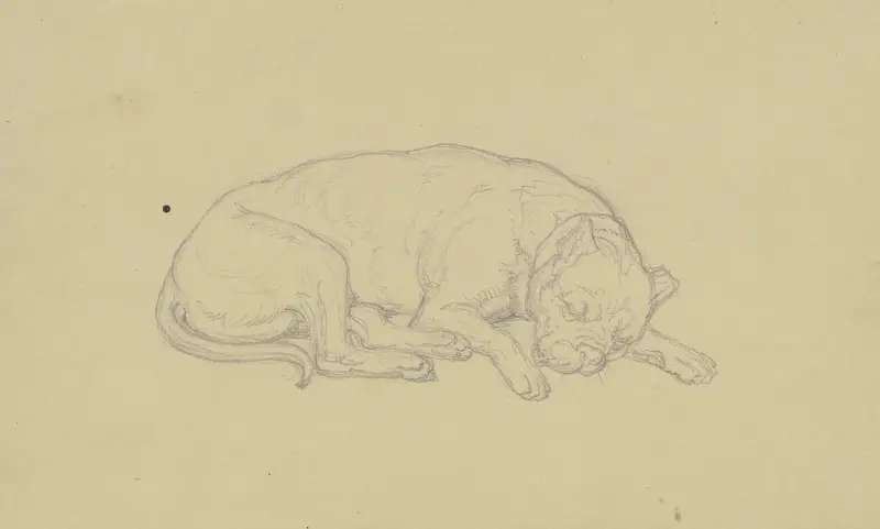 Schlafender Hund von Ferdinand Fellner