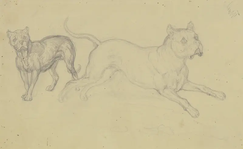 Stående hund som springer åt höger av Ferdinand Fellner