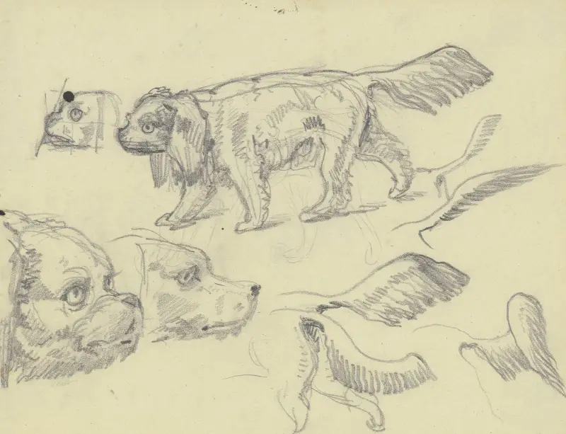 Studieblad; hundar av Ferdinand Fellner