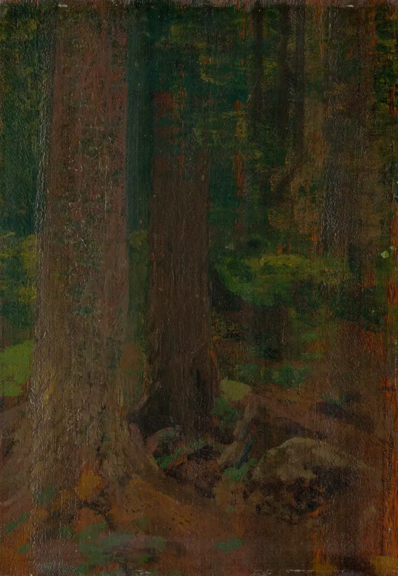 Waldstudie von Ferdinand Katona