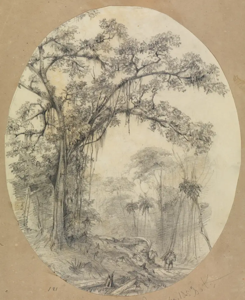 Baumstudie auf kleiner Anhöhe av Ferdinand Keller