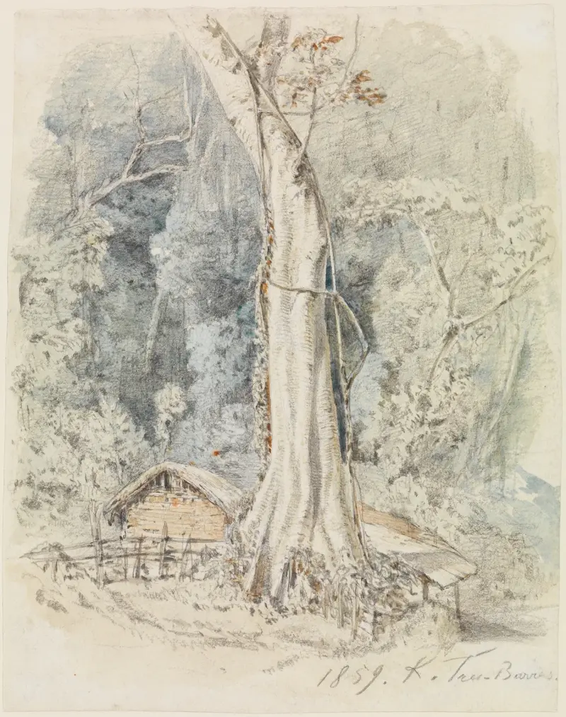 Hus med skydd i urskogen vid Tres-Barras av Ferdinand Keller