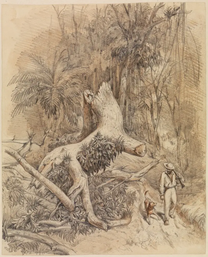 Jägare med hund i urskogen av Ferdinand Keller
