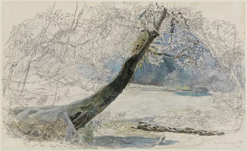 Landskap vid sjöstranden av Ferdinand Keller