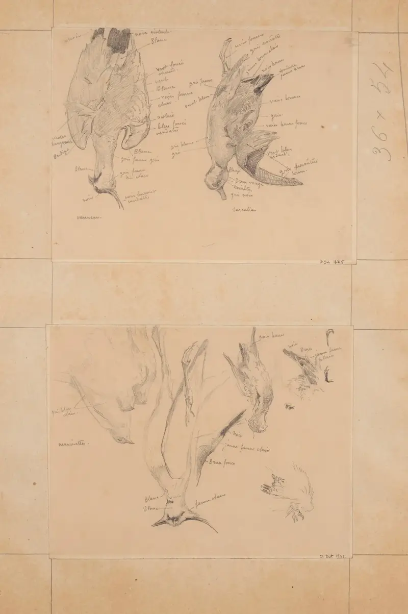 Fågelstudie; vipa och kricka av Fernand Cormon