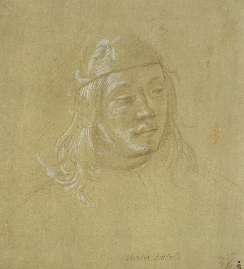 Bildnisstudie eines jungen Mannes av Filippino Lippi