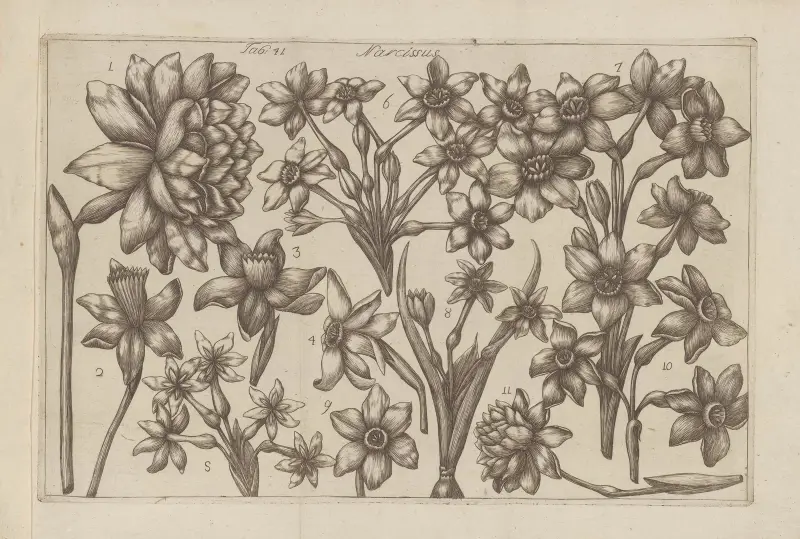 Narcissus, 1767, Filippo Arena