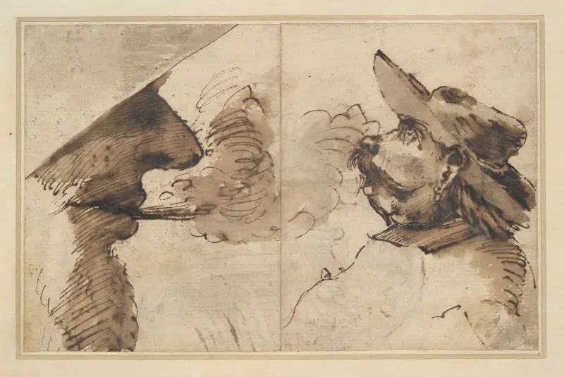Caricatures of Two Male Heads av Pier Francesco Mola