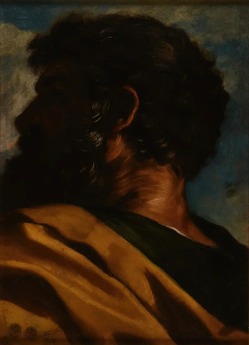Głowa mężczyzny – nr 1, Pier Francesco Mola