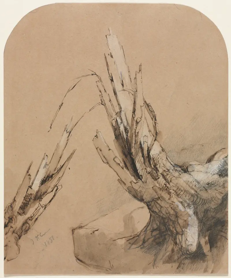 Ein vom Blitz zerstörter Baum von Jasper Francis Cropsey