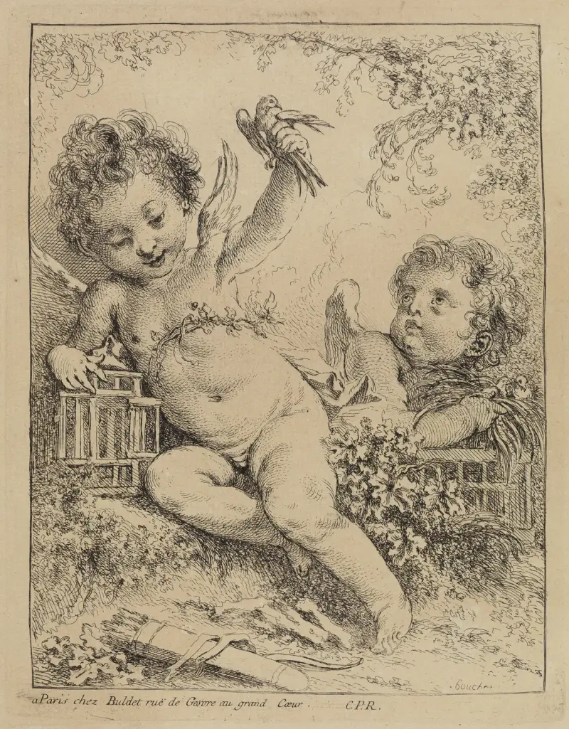 Turturduvan i bur av François Boucher