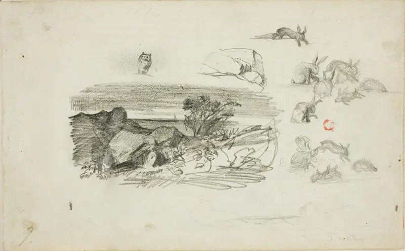 Skisser; stenig backe och kaniner av Charles François Daubigny