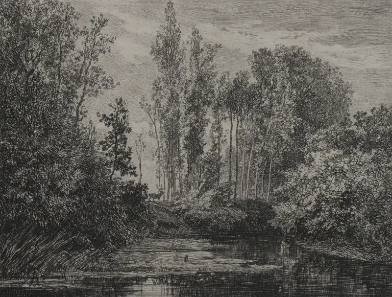 Hjortar vid vattnet av Charles François Daubigny