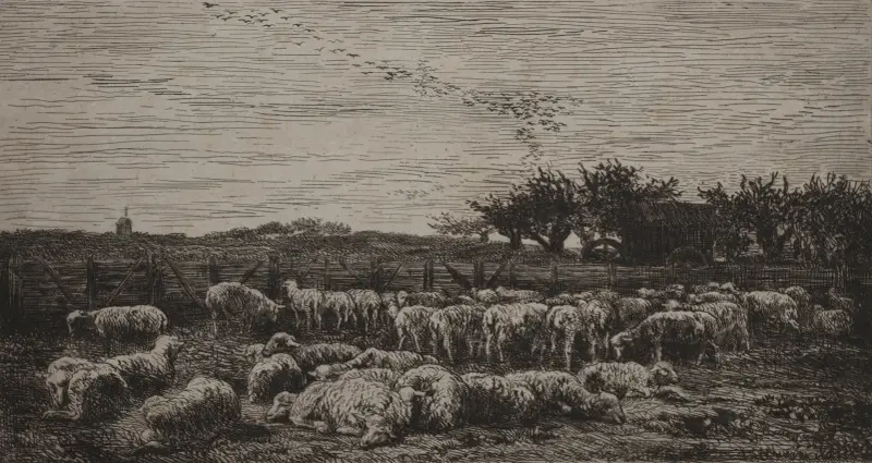 Der große Schafpferch von Charles François Daubigny