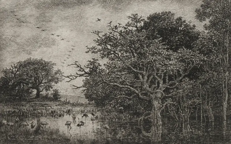 Der Sumpf mit Störchen von Charles François Daubigny