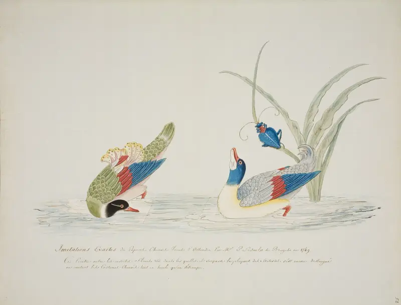 Zwei Enten von Pierre Francois Ledoulx
