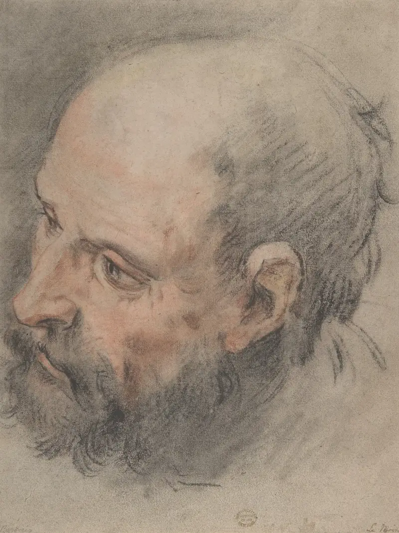 Head of a Bearded Man Looking Left av François Lemoyne