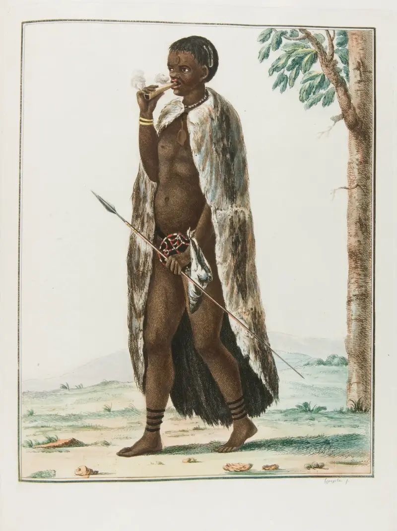 Caminouquois av François Levaillant