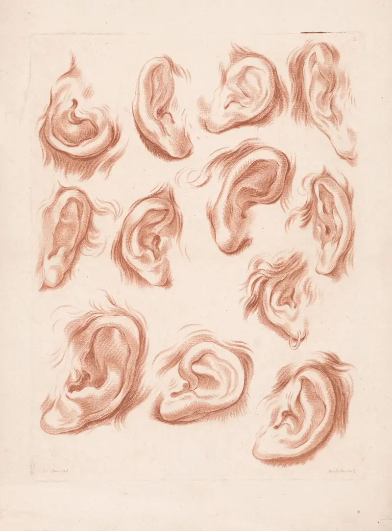 Dvanáct různých uší, Louis-François Roubiliac