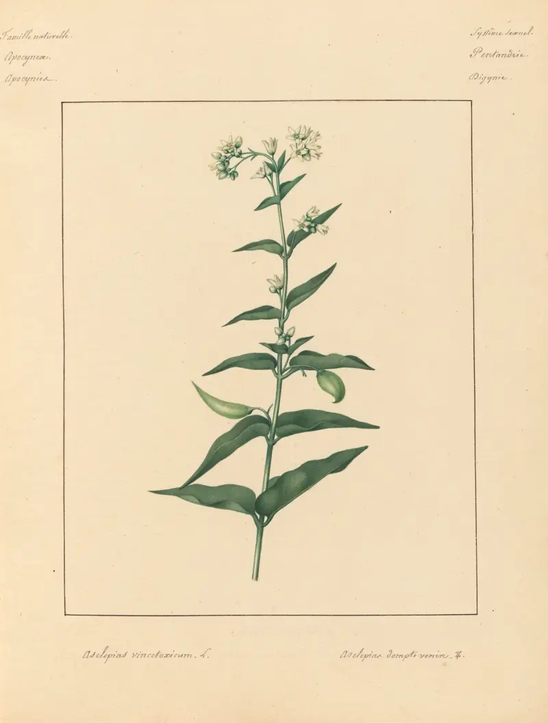 Plantes des environs de Paris Pl.011 av Pierre Jean François Turpin
