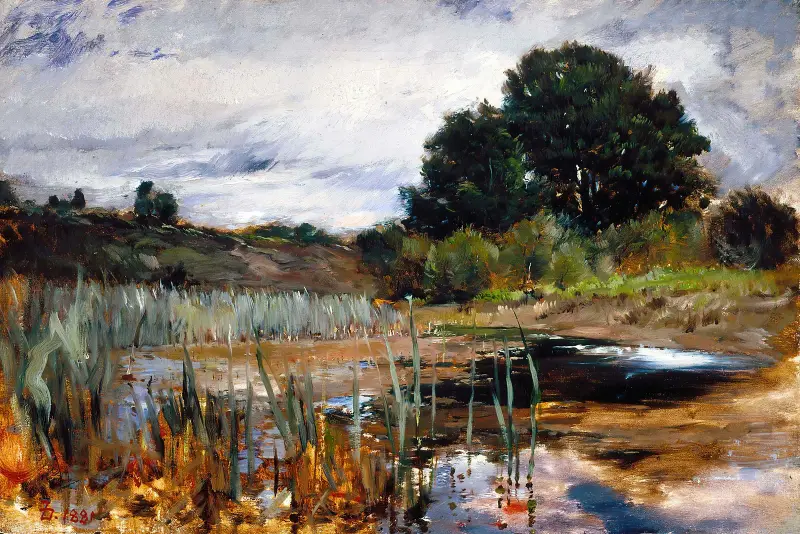 Polling Landscape av Frank Duveneck