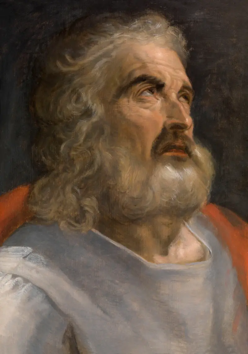 Mann mit Bart von Frans Floris