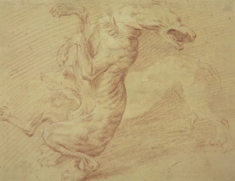 Kämpfende Hunde von Frans Snyders