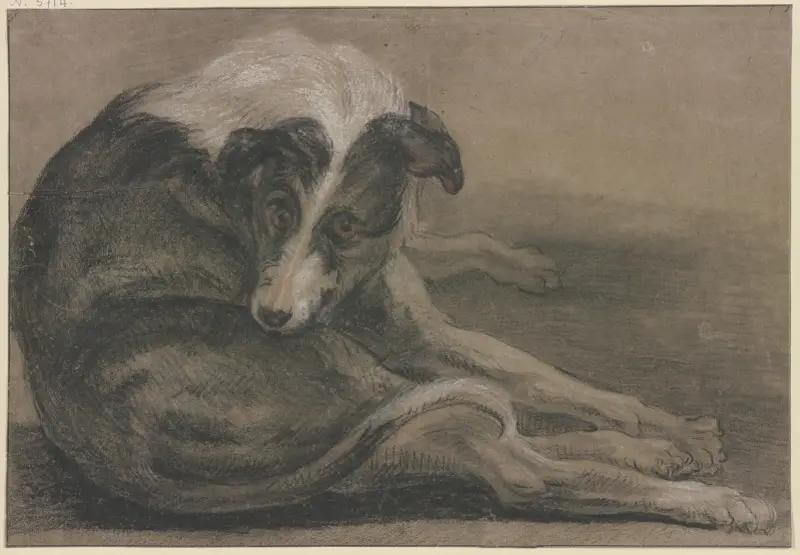 Ležící chrt, Frans Snyders