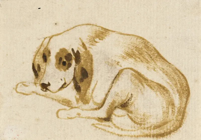 Studies of Dogs – nr 2 av Frans Snyders