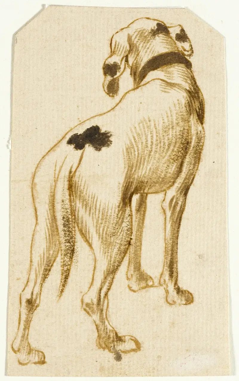 Studier av hundar – nr 1 av Frans Snyders