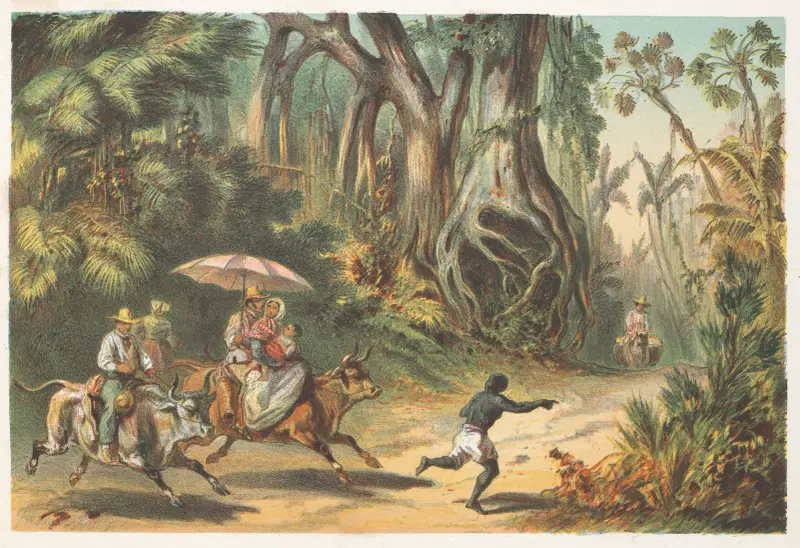 Okolí Baracoy, Pierre Toussaint Frédéric Mialhe